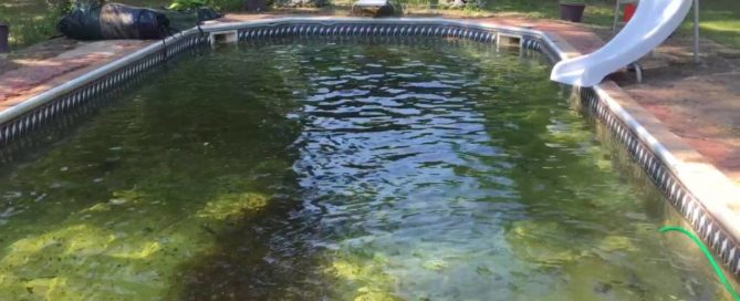 How to Get Algae Out of a Pool Without a Vacuum