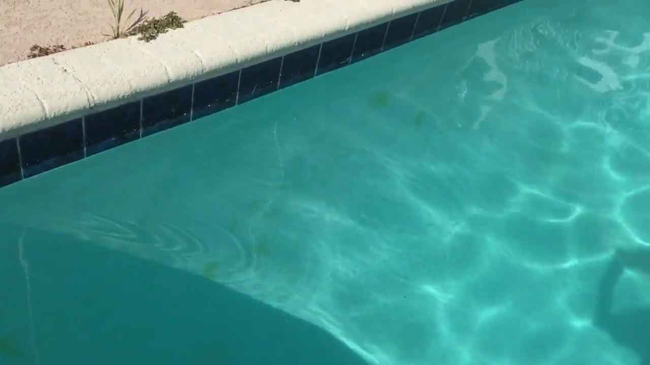 tips-to-remove-mustard-algae-from-your-swimming-pool-without-scratching