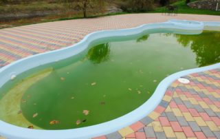 How To Clear Up And Clean A Green Swimming Pool
