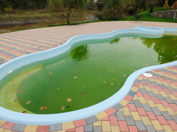 what do you do if your pool is green